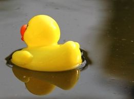 20071201170525-cd698f104-a.jpg